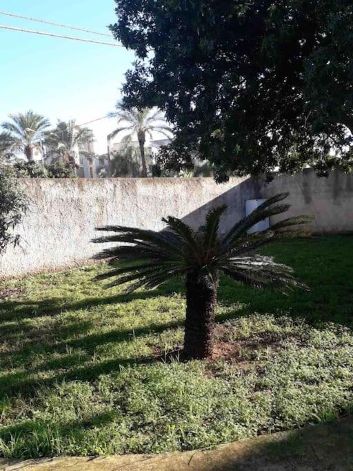 Villa Singola A 1300 Mt Dal Mare Mazara del Vallo Ngoại thất bức ảnh