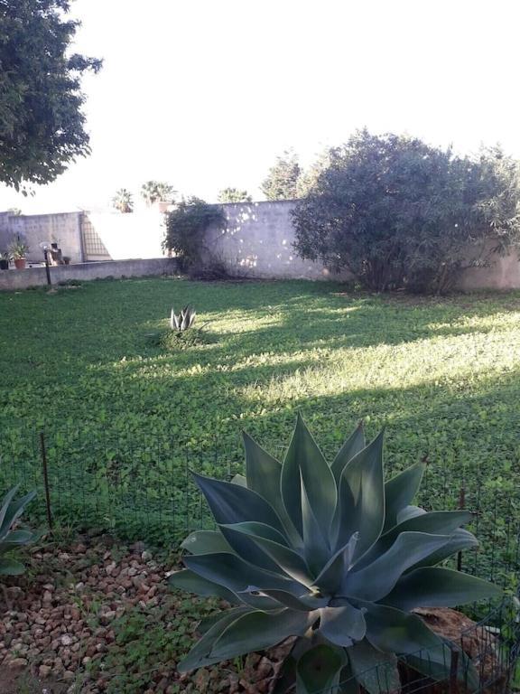 Villa Singola A 1300 Mt Dal Mare Mazara del Vallo Ngoại thất bức ảnh